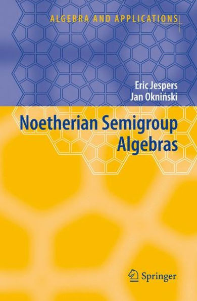 Noetherian Semigroup Algebras / Edition 1