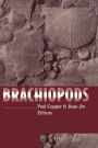 Brachiopods / Edition 1