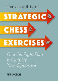 Title: Strategic Chess Exercises: Find the Right Way to Outplay Your Opponent, Author: Emmanuel Bricard