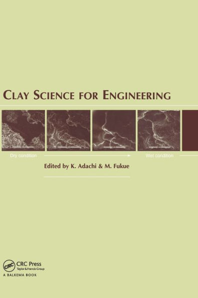 Clay Science for Engineering / Edition 1