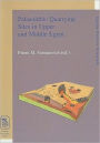 Palaeolithic Quarrying Sites in Upper and Middle Egypt / Edition 1