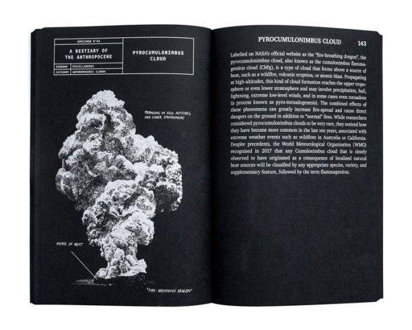 A Bestiary of the Anthropocene: Hybrid Plants, Animals, Minerals, Fungi, and Other Specimens