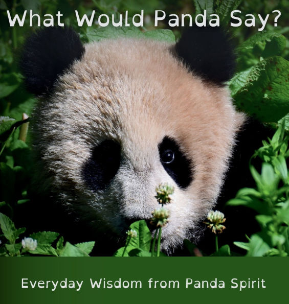 What Would Panda Say?: Everyday Wisdom from Panda Spirit