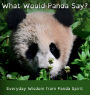 What Would Panda Say?: Everyday Wisdom from Panda Spirit