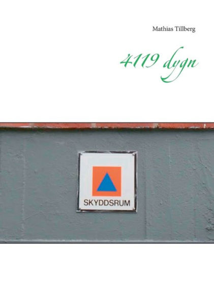 4119 dygn