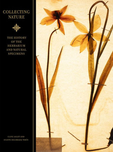 Collecting Nature: The History of the Herbarium and Natural Specimens