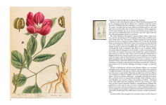 Alternative view 2 of Collecting nature: a history of the herbarium and natural specimens