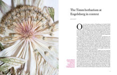 Alternative view 4 of Collecting nature: a history of the herbarium and natural specimens