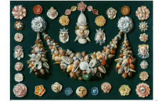 Alternative view 5 of Collecting nature: a history of the herbarium and natural specimens