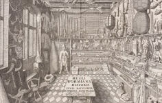 Alternative view 7 of Collecting nature: a history of the herbarium and natural specimens