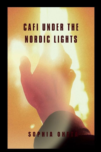 Cafï¿½ Under the Nordic Lights