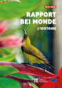 Rapport « BEI Monde - L'histoire »