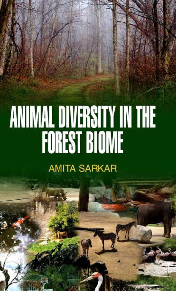 Animal Diversity in the Forest Biome