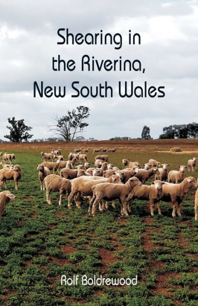 Shearing in the Riverina, New South Wales