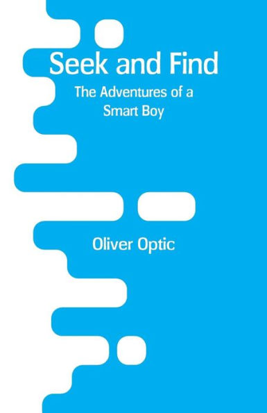 Seek and Find: The Adventures of a Smart Boy