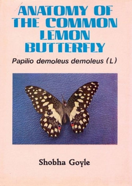 Anatomy of The Common Lemon Butterfly Pupillo Demoleus Demoleus (L)