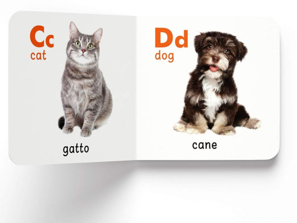 My First English-Italiano Learning Library (la mia prima biblioteca delle parole Inglese-Italiano): Boxset of 10 English - Italian Board Books