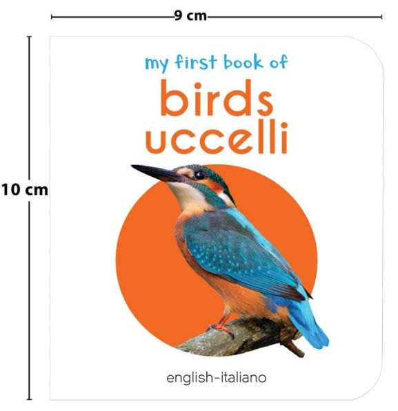 My First English-Italiano Learning Library (la mia prima biblioteca delle parole Inglese-Italiano): Boxset of 10 English - Italian Board Books