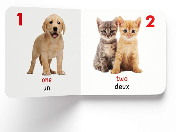 My First English-Francais Learning Library (Ma premiere bibliotheque bilingue anglais-francais): Boxset of 10 English