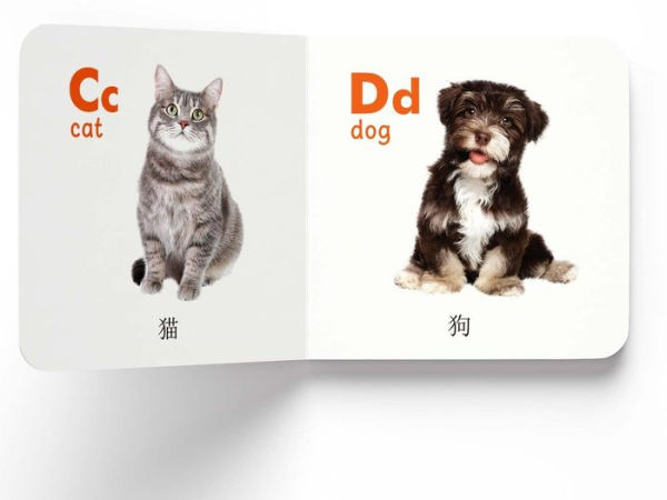 My First English-Chinese Learning Library: Bilingual Boxset of 10 Picture Board Books for Kids