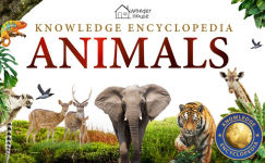 Alternative view 1 of Knowledge Encyclopedia: Animals