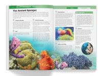 Alternative view 11 of Knowledge Encyclopedia: Animals