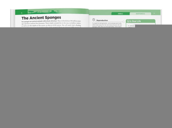 Knowledge Encyclopedia: Animals