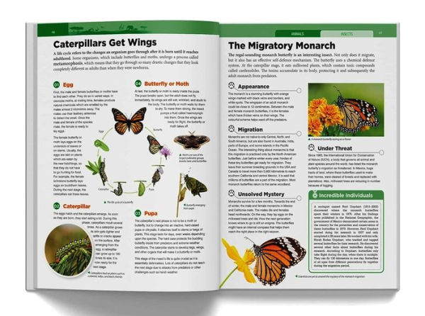 Knowledge Encyclopedia: Animals