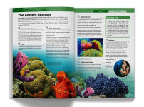 Alternative view 6 of Knowledge Encyclopedia: Animals
