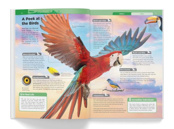 Knowledge Encyclopedia: Animals