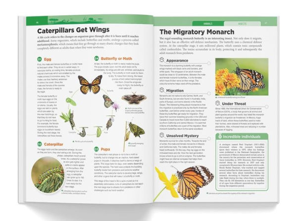 Knowledge Encyclopedia: Animals