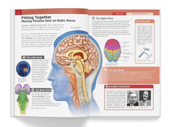Knowledge Encyclopedia: Human Body