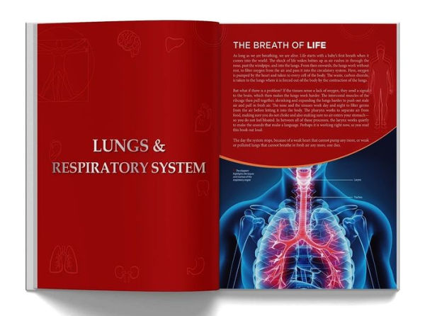 Knowledge Encyclopedia: Human Body