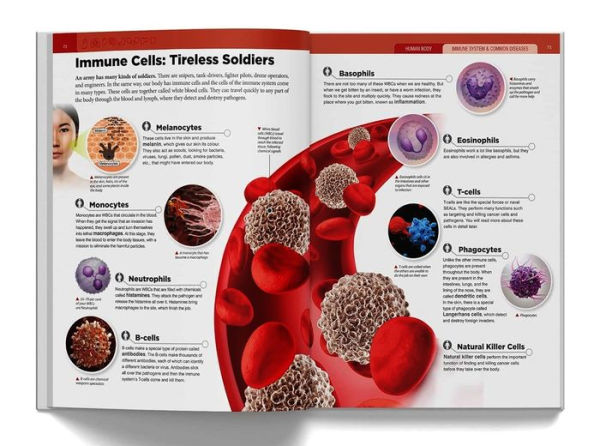 Knowledge Encyclopedia: Human Body