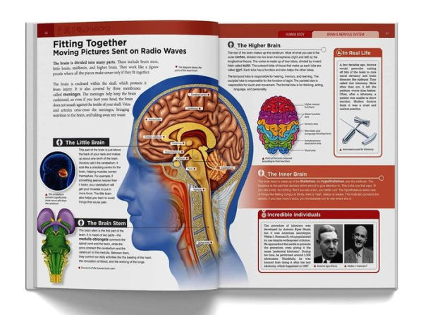 Knowledge Encyclopedia: Human Body