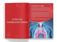 Alternative view 8 of Knowledge Encyclopedia: Human Body