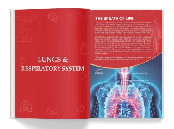 Knowledge Encyclopedia: Human Body