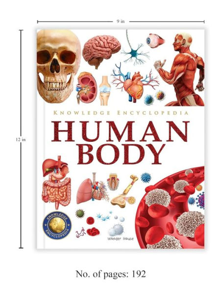 Knowledge Encyclopedia: Human Body
