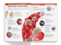 Alternative view 10 of Knowledge Encyclopedia: Human Body