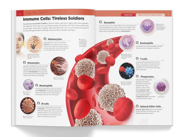 Knowledge Encyclopedia: Human Body