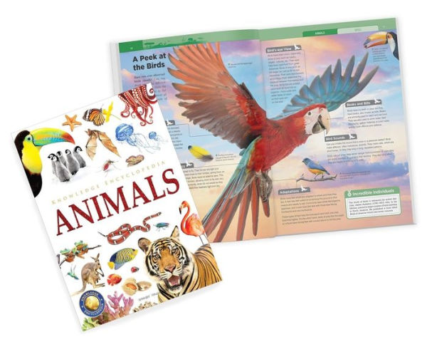 Knowledge Encyclopedia: Boxset of 8 Books