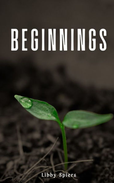 Beginnings