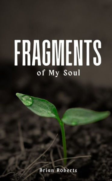 Fragments of My Soul