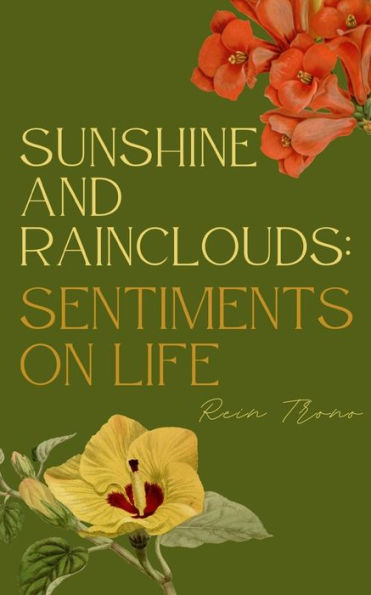 Sunshine and Rainclouds: Sentiments on Life