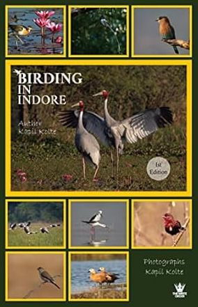Birding In Indore