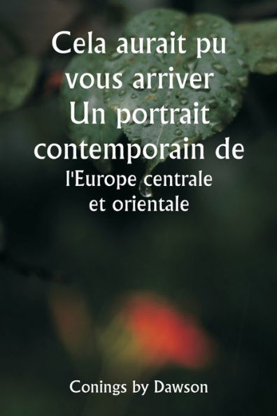 It Might Have Happened To You A Contemporary Portrait of Central and Eastern Europe