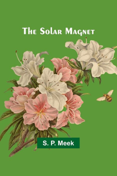 The Solar Magnet