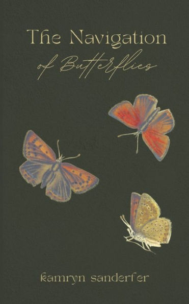 The Navigation of Butterflies
