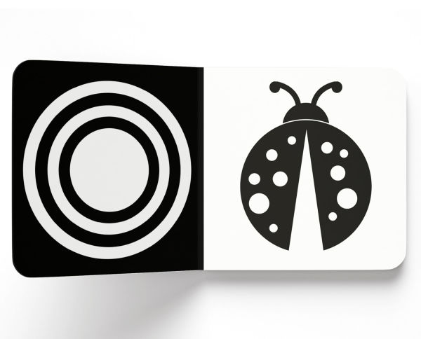 Baby's First High-Contrast Books: Boxed Set