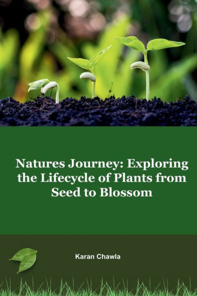 Natures Journey: Exploring the Lifecycle of Plants from Seed to Blossom